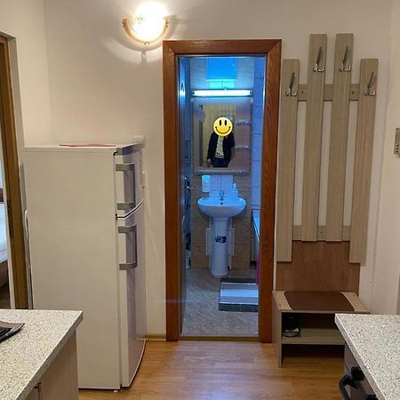 Urban Chic Apartment Orăştie 外观 照片