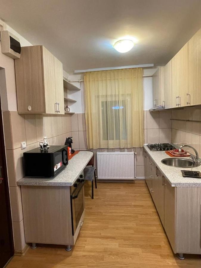 Urban Chic Apartment Orăştie 外观 照片